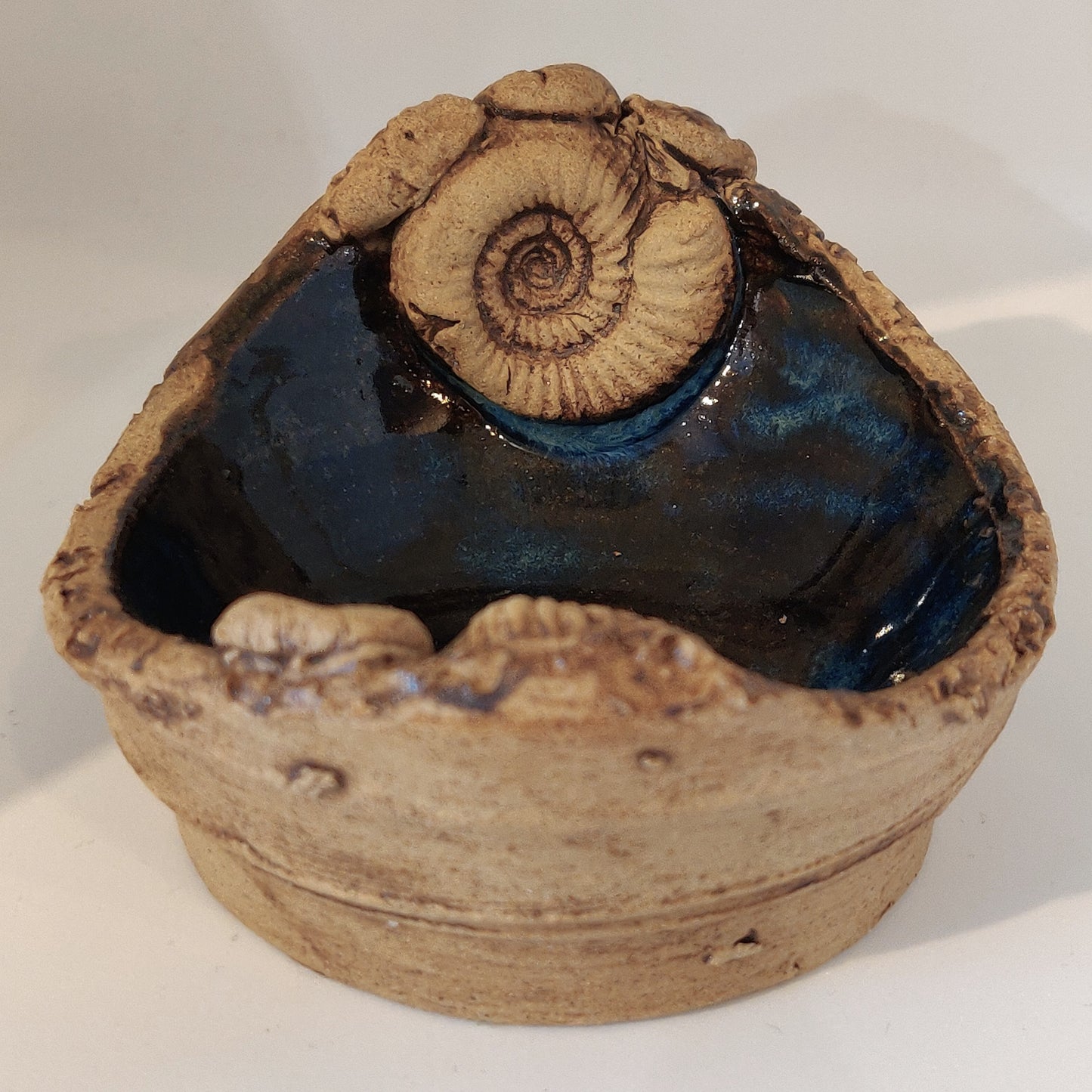 Mini Ammonite Dish